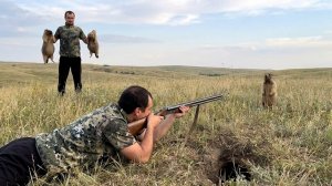 как быстро добыть сурка с гладкого ружья