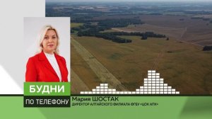 «Будни» (новости, 17.07.26г., Бийское телевидение)