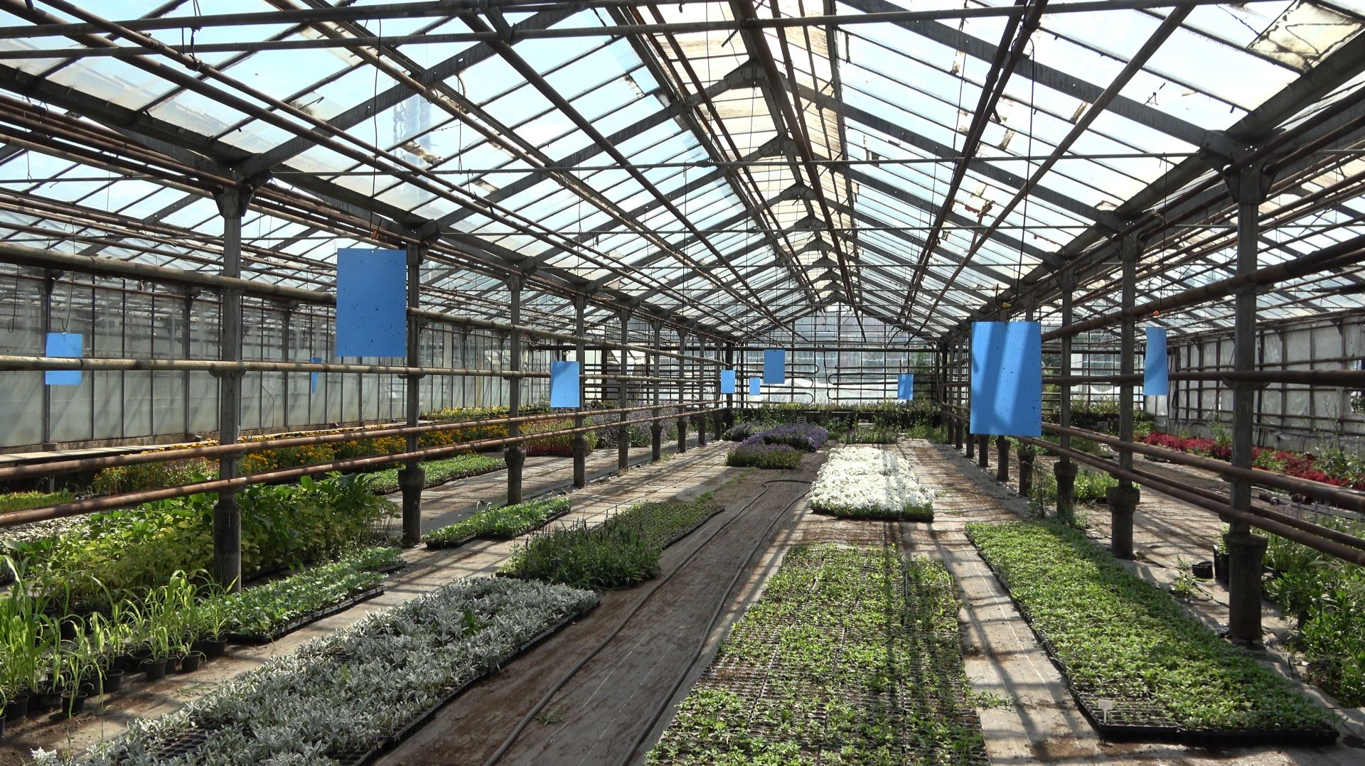 В Липецкой области в разгаре фитомониторинг