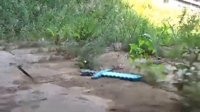 ГРИФЕР МАЙНКРАФТЕР ФИРАМИР СОШЕЛ С УМА И ЧУТЬ НЕ ОТРУБИЛ РУКУ! БОЙ С ГРИФЕРОМ В РЕАЛЬНОЙ ЖИЗНИ! смотреть онлайн