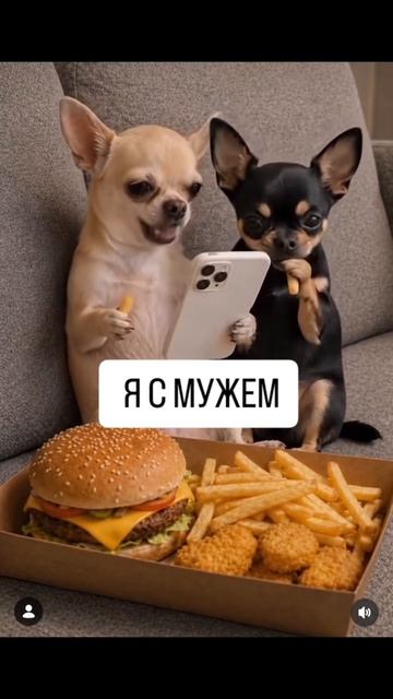 Мы смотреть онлайн