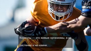 «Магия света: фотографии, которые сияют»