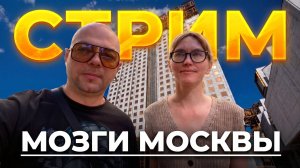 МОЗГИ И ОКРЕСТНОСТИ