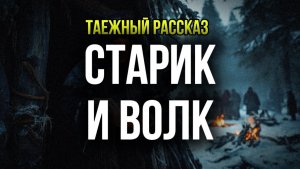 СТАРИК ВЫХОДИЛ ВОЛКА У СЕБЯ В САРАЕ… ВЕСНОЙ ТАЙГА ВЕРНУЛА ЕМУ ДОЛГ
