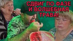 СДВИГ ПО ФАЗЕ И ВОЛШЕБНАЯ ТРАВА. ОЛЬГА УРАЛОЧКА LIVE. ОБЗОР.