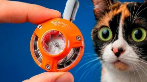 ВОТ ЧТО МЫ КУПИЛИ НА ALIEXPRESS