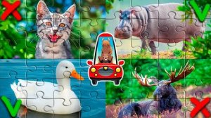 Сборник Пазлы животные для детей. Домашние Лесные и Дикие животные для малышей.