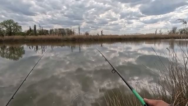 Тут хорошая рыбалка на карася, и не только, клёв под стенкой камыша