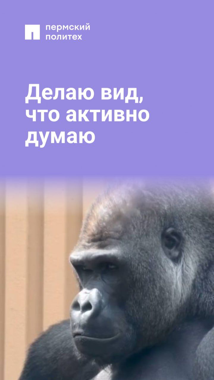 Включилась актерская игра