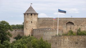 Потасовки и 10 часов ожидания: в Нарве на границе с РФ продают места в очереди