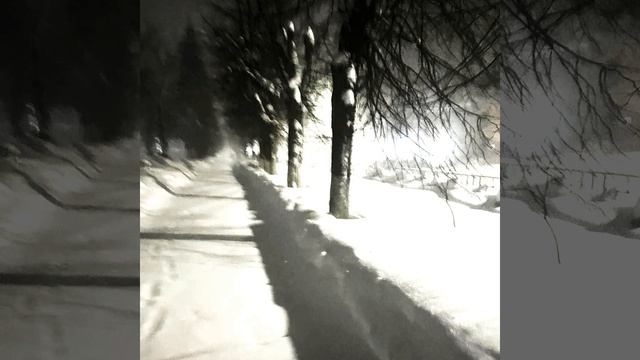 Dayerteq - Walk in the cold (Slowed) смотреть онлайн
