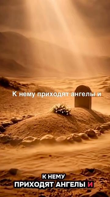 НЕ ЗАБЫВАЙТЕ СДЕЛАТЬ ДУА И САДАКА ЗА МЕРТВЫХ БЛИЗКИХ ТОЖЕ🌴 → 👤 𝓑𝓪𝔂𝓽_𝓪𝓵_𝓐𝓯𝓴𝓪𝓻 →
