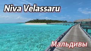 Обзор отеля Niva Velassaru Maldives
