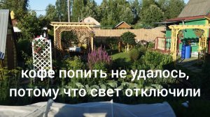 17 июля 2026 года. В 6 часов утра 6 градусов тепла. Ивановская область. Но все цветет и пахнет))