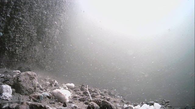 1000023175.mp4Волга.17.01.2026г. смотреть онлайн