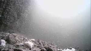1000023175.mp4Волга.17.01.2026г.