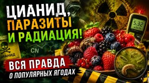 ЦИАНИД, паразиты и радиация! ВСЯ ПРАВДА о популярных ягодах