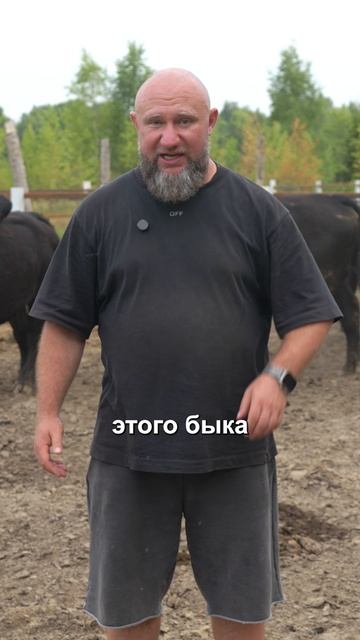 Фермерский бизнес начинается с контроля! Проверьте ЭТО, пока не приехала туша с сюрпризом #ферма