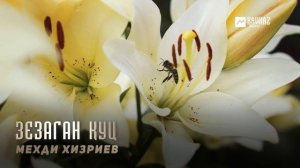 Мехди Хизриев - Зезаган куц | KAVKAZ MUSIC CHECHNYA