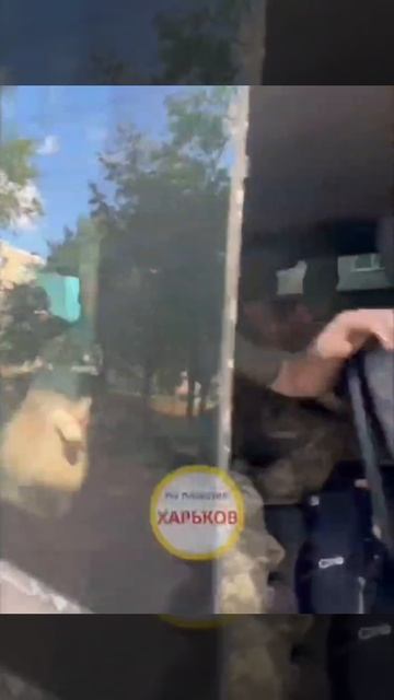 Здоровый хряк спросил у малолетней девчонки: "А ты что не воюешь?"