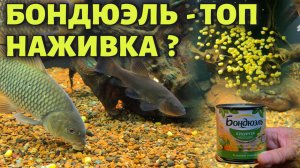 БОНДЮЭЛЬ - ТОП НАЖИВКА ?