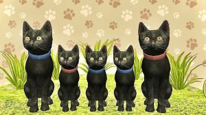 Симулятор маленького котенка#