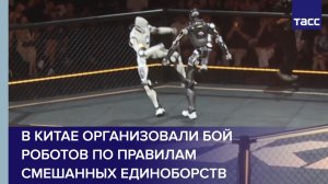 В Китае организовали бой роботов по правилам смешанных единоборств