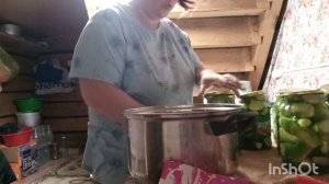 17-07-2026 года.Засолила огурцы,разложила кору на цветы.