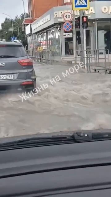 Июльский дождик хорошо полил центр Геленджика этим утром, деревья говорят огромное спасибо!!!