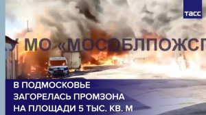 В Подмосковье загорелась промзона на площади 5 тыс. кв. м