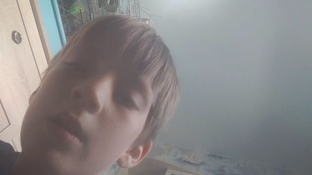VID_20260717_124904.mp4 смотреть онлайн