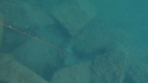 Вертикальная атака / Подводная охота