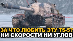 Очень неоднозначная премиумная пт-сау TS-5 Tanks Blitz