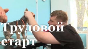 Молодые специалисты ЛНР получают первый профессиональный опыт