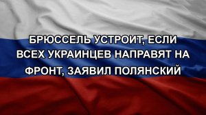 Брюссель устроит, если всех украинцев направят на фронт, заявил Полянский