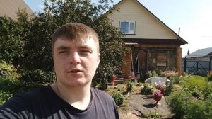 УРА! ЭТО НАКОНЕЦ ТО СВЕРШИЛОСЬ! / ИЗБАВЛЯЕМСЯ ОТ ВЕТОК САМЫЙ БЫСТРЫЙ И ЛУЧШИЙ СПОСОБ!