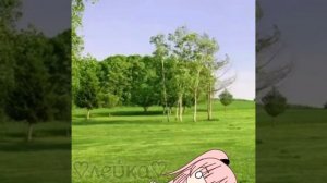ХЕХ, БАТУТИК