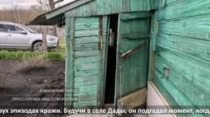 Незваный гость-воришка