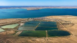 Свыше миллиарда кубометров воды направят в северное Аральское море