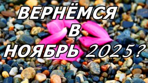 ТАМ, ГДЕ МУЗЫКА СЛИВАЕТСЯ С ПРИБОЕМ: НОЯБРЬ В СОЧИ. 1,5 МИНУТЫ НАЕДИНЕ С ЧЕРНЫМ МОРЕМ.