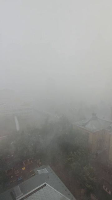 Природа Новосибирска