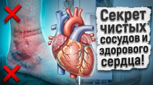 Как проявляет себя клапанная недостаточность вен?