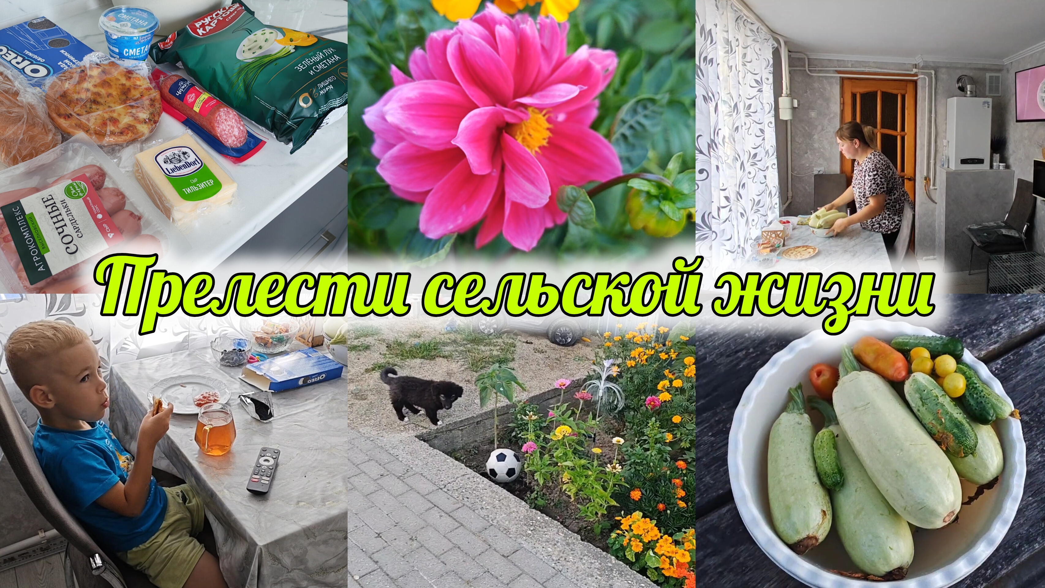 ПОКУПКИ ОЗОН, 5КА🛍️ СВОЙ УРОЖАЙ 🍅🥒 ДОМАШНЯЯ РУТИНА 🏡 смотреть онлайн