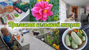 ПОКУПКИ ОЗОН, 5КА🛍️ СВОЙ УРОЖАЙ 🍅🥒 ДОМАШНЯЯ РУТИНА 🏡