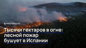 Тысячи гектаров в огне: лесной пожар бушует в Испании