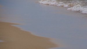 «Визуальный хаос: почему нам нравится беспорядок на фото»