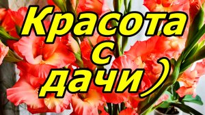 ТРУД 💖МАМЫ И 💖ПАПЫ: РОСКОШНЫЙ БУКЕТ У МЕНЯ ДОМА! ЦВЕТЫ ОТ РОДИТЕЛЕЙ: ТЕПЛО РОДНОГО ДОМА)