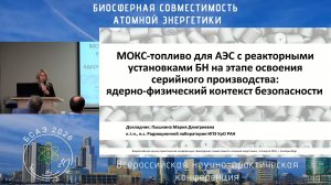 МОКС-топливо для быстрых натриевых реакторов (БН): ядерно-физический контекст безопасности