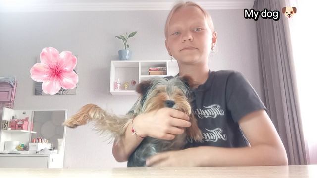 Видео знакомство с собакой 🐶 🌿