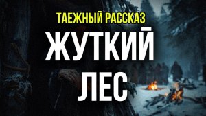Жуткий лес | тайга | истории леса
